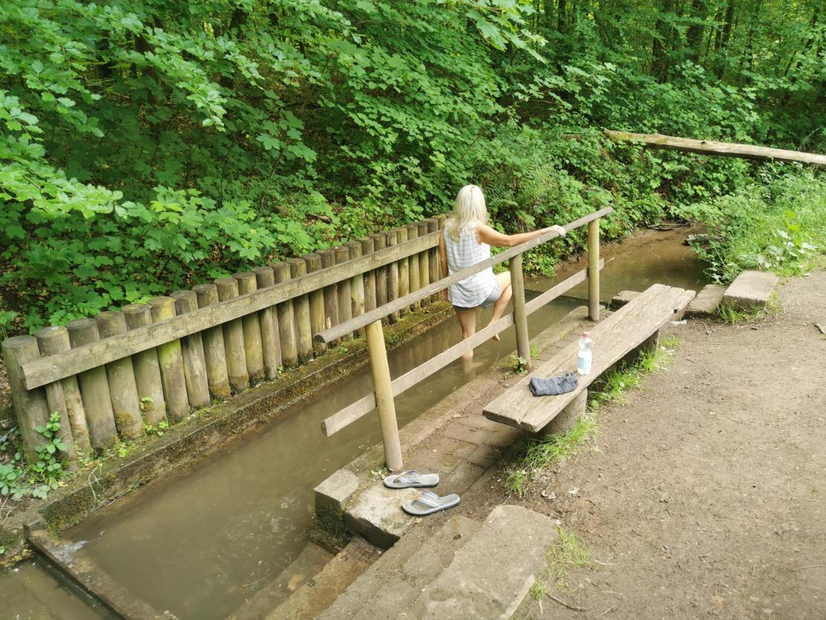 Im Herzen Des Kraichgaus 1 Ostringen Esterno foto