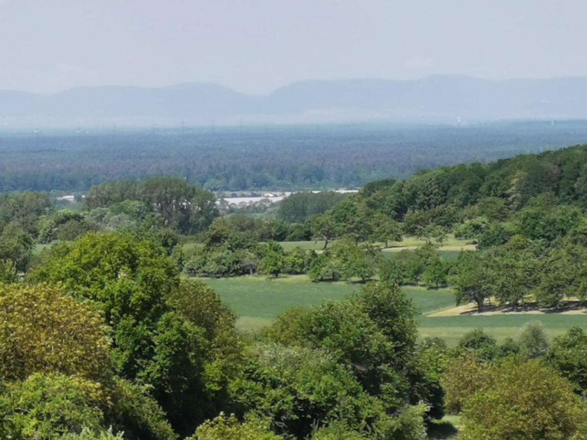 Im Herzen Des Kraichgaus 1 Ostringen Esterno foto