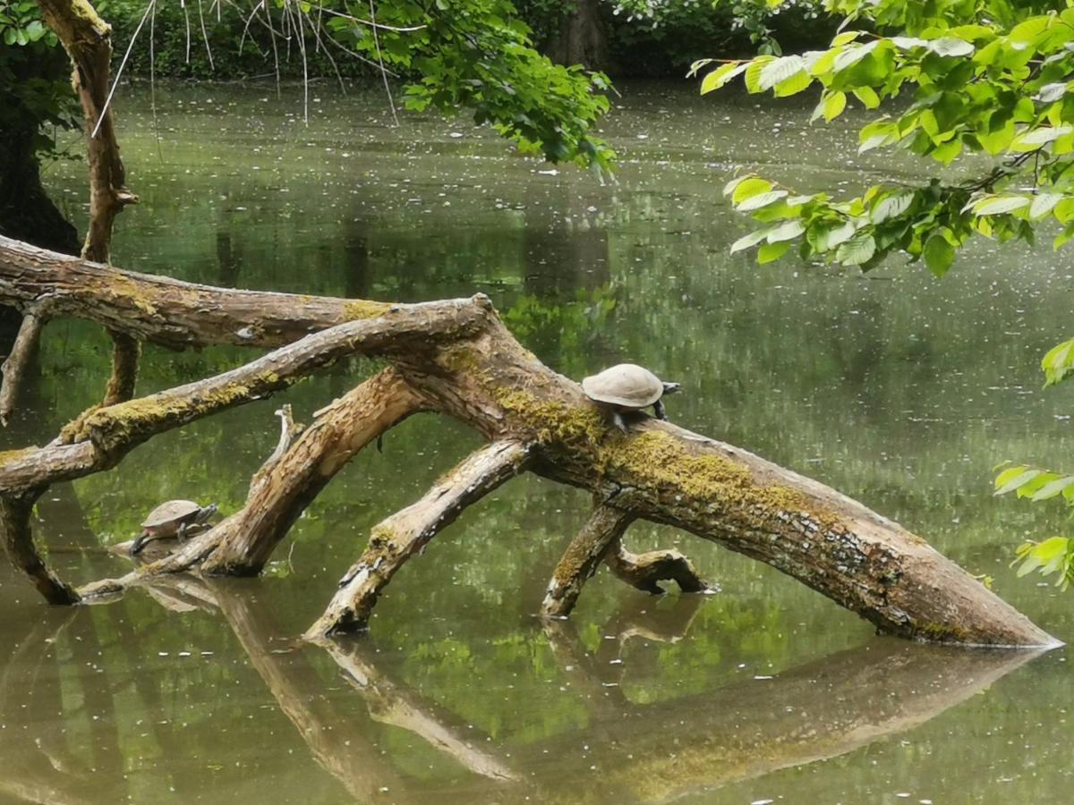 Im Herzen Des Kraichgaus 1 Ostringen Esterno foto